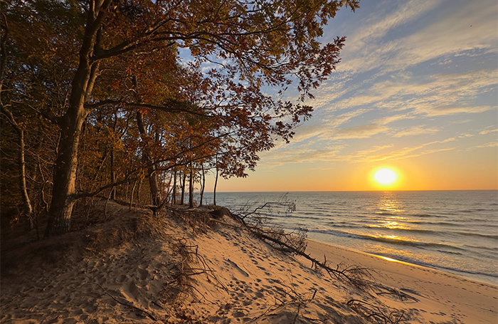 A sunset over Lake Michigan in the background with a dune and tree in the foreground